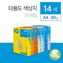 뉴펀 종이 50매 색상지 복사 용지 컬러 80g A4 프린터, 플라밍고