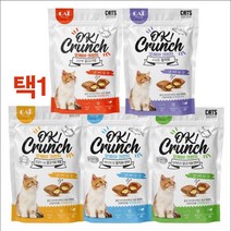 고양이 간식 겉바속촉 퓨레 과자 3봉 깽이 고양이식욕부진 반려동물입양, 1개, 치킨연어