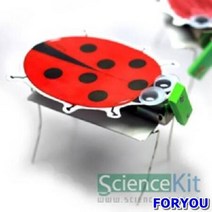 ForU298 진동로봇 4인용 과학교재 실험교구 과학실험키트 단체실험 조별실험