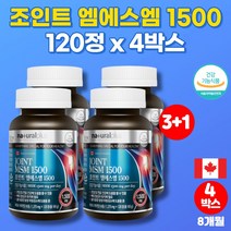 코스트코 캐나다 프리미엄 MSM 엠에스엠 앤 조인트 글루코사민 조인트 복합제제 고관절 무릎 관절 영양제 먹는유황 상어연골 분말 초롱이홍합, 4박스