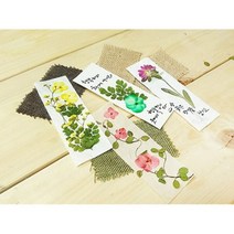 압화 한지 책갈피 만들기 KIT.그린팜, 손코팅지|갈색한지
