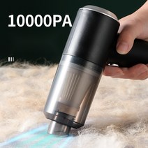 에어 클리닝 개털 청소기 고양이 털 흡입기 강아지 털 청소기, C [10000PA]