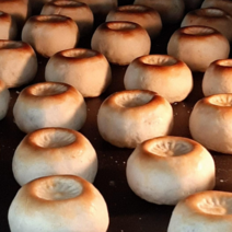 경주에서 소문난 [천년미가] 경주빵 45g x 20 (1box) 16000원