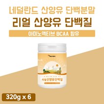 산양유 프로틴 쉐이크 단백질 마시는 음료 6개 BCAA 플러스 리얼 산양 유 MBP 플렉스 함량 높은 많은 음식 푸드 보충 후기 분리 유청 WPI 웨이 스틱 약 3개월 골든