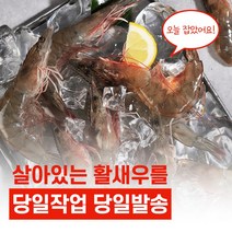 당일작업) 국내산 무항생제 활새우 25미 내외, 1kg, 1개