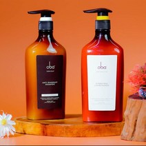 카 샴푸 Oba-샴푸 컨디셔너 세트 두피 케어 클렌징 비듬 방지 오일 컬러 의 500g x 2, 01 Anti-dandruff