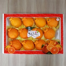 [선물세트] 꿀범벅 고당도 제주 한라봉 4.5kg 특대과(10-15)