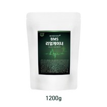 팔라티노스 가루 단백질보충제 곡물 파우더 유청단백질 류신 분말 식사대용 프로틴 쉐이크 저분자 가수분해 단백질 레시틴 단백질보충제 스피루리나 마카 분말 BCAA, 1kg+200gx2개