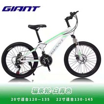 GIANT 자이언트 산악자전거 도로 알루미늄 합금 충격 흡수 JAVA 사바 트위터 자전거 SAVA 자바, 20인치, 21속도화이트시안