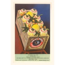 (영문도서) Vintage Journal Crate of Indian Rocks Grapefruit Paperback, Found Image Press, English, 9781669518082