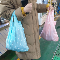 은창)포켓 걸이 장바구니 에코백 쇼핑백 가방 가방 파우치 장바구니 에코백 쇼핑백 시장 휴대용 접이식