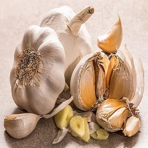 [산해식품] 산지 남해 벌마늘 10 kg 판매, 10kg