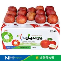 산지직송 경북 영양농협 사과 상품 10kg 51과이상/꼬마, 단품없음