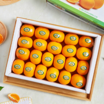 [백화점판매상품] 당도보장 제주 효돈 불로초감귤 타이백 밀감 3kg