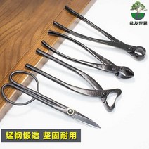 분재 뿌리 혹 가위 원예용 나무 가지치기 작은 소나무, 미디엄 5피스 수트A