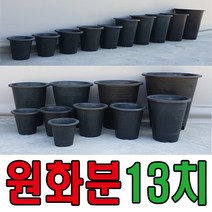 세이프24 원화분 나무화분 원형화분 국화분 꽃화분 블루베리화분 아로니아, 1개