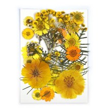 말린 꽃 마른 식물 Rsein 금형 필링 에폭시 수지 펜던트 목걸이 쥬얼리 만들기 공예 DIY 네일 아트 장식 1 봉지, [03] 03