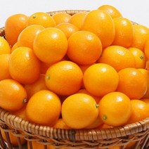[두레] 금귤낑깡 2kg_2번과, 없음