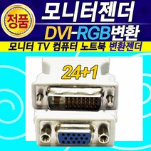 알(R)전산 모니터 컴퓨터 DVI RGB HDMI 케이블 젠더 (종류 및 수량 확인 후 구매), DVI-RGB 변환젠더 (24+1)