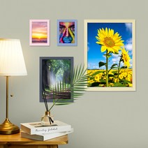 닥터프레임 액자 사진액자 인테리어액자 상장액자 3x5 4x6 5x7 6x8 8x10 10x15 11x14 A4 A3 b4 b5 8절지 16절지 액자 외 벽걸이 탁상 전사이즈, 오렌지