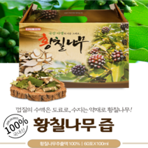 [BEST] 국내산 100% 무첨가 황칠나무즙 황칠즙 나무 엑기스 진액, 120포, 100ml