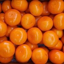 고당도 레드향 1kg 풍부한 과즙 제주 특산품, 1개