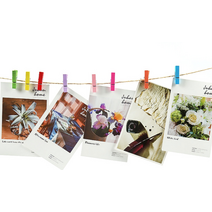 사진 폴라로이드 포토 노끈사진집게 20ea 140cm 세트, 컬러노끈사진걸이 세트