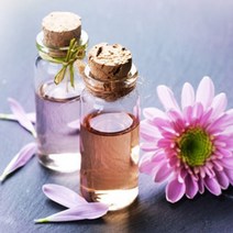 프래그런스 오일 베스트 100ml 모음, 20.아카시아