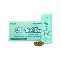 동기바르네 개운애 숙취 해소 환, 2g, 2개입