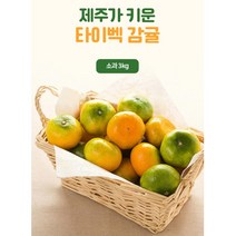 제주도 타이벡재배 고당도 감귤 소과 3kg 재수용과일