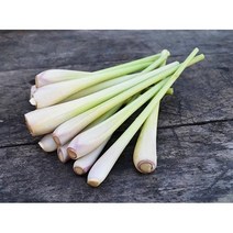 베트남식품 레몬그라스 Lemongrass Xa tuoi 박스 1kg ~10kg, 10Kg