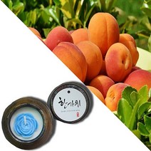 늘향 늘향 순수한 복숭아향 항아리캔들 (2737179), 1호 브라운
