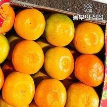 농부의정성 제주 하우스귤 선물용 로얄대과 3kg