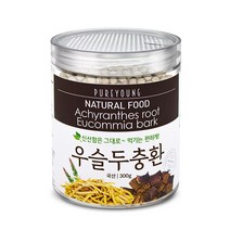 퓨어영 국산 우슬두충환 300g 두충우슬환, 1통