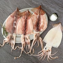 맛군 통통 쫄깃한 포항 구룡포 국내산 반건조오징어 5마리/10마리[★적용가11 920원~], 반건조오징어 10미(대/1kg내외)