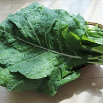 맛군 유기농 케일 신선초 비트, 1box, 유기농 케일 1kg