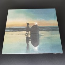 FKJ Ylang Ylang LP 레코드판 EP 일랑일랑 수집품 LP판 고전 피아노