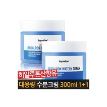 대용량 수분크림 여성 기초화장품 세트 300mlX2개, 대용량 수분크림 여성 기초화장