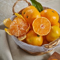 [삐삐농원] 제주 산지직송 세상에서 가장 맛있는 노지 감귤 5kg 10kg, 4. 감귤 작은 사이즈 10kg