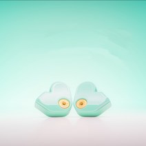 수월우 SSR 가수인이어 커스텀인이어 가성비유선이어폰 방송용이어폰, 초록