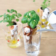 세이신 쉽폰 산딸기 바질 세잎클로버 미니화분 키우기, 고양이(미니딸기)