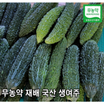 [국내산/국산] 햇 생여주 아삭아삭한 여주 1kg 5kg 산지직송 생 햇여주 당일수확 고야 비터메론 유기농 쓴오이 못난이 오이 못난이오이 건여주 건조여주, 생여주 1kg