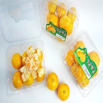 [꿈을뜨는 언니 ] 선물용 새콤달콤 맛있는 청정제주 하우스감귤 500g, 02)하우스감귤 1kg