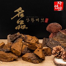 절편발송 - 자연산 상황버섯 40년산 500g 산뽕나무 고급포장, 1, 원형