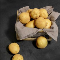 철따라농산물 햇 수미감자 홍감자, 특(찜.반찬용) 5kg