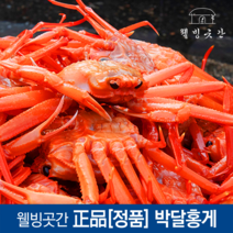 나우푸드 내추럴 E-400 소프트젤, 1개, 250개입