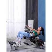힙 운동기구 힙쓰러스터 머신 벤치 중둔근 힙업기구, 브릿지 머신 + 40kg 컬러 필름