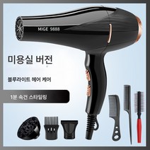 전기 드라이기 가정용 대풍 음이온 헤어 케어 무음 미용실 전용 고출력 속건 남성 드라이기, 검은머리살롱블루라이트음이온헤어케어-여섯