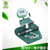 배근력계 측정기 체대 입시 체력테스트 소방 허리근육