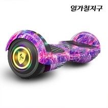 일가칠지구 독일 palor 전동휠 6.5인치 8인치 10인치 보호구, D, 10